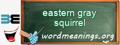 WordMeaning blackboard for eastern gray squirrel